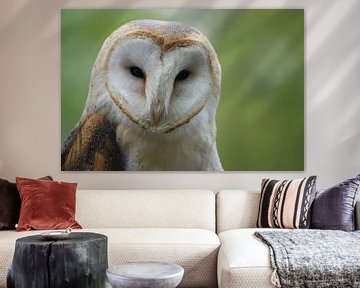 Owl sur Richard van Oudheusden