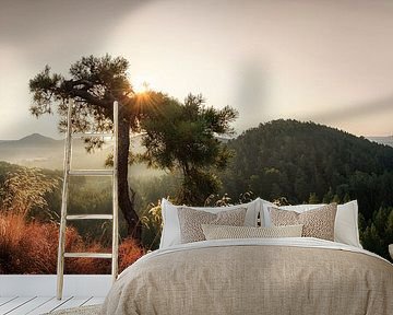 Palatinate Forest by Voss photography