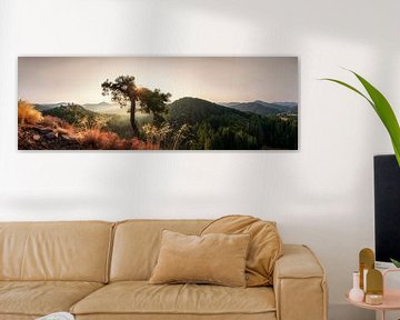 Paltserwoud van Voss fotografie