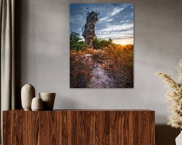 Pfälzer Wald von Voss Fine Art Fotografie