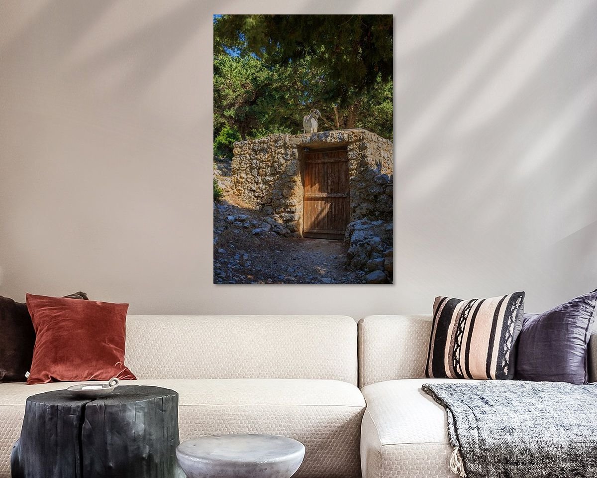 Aperçu de la chambre