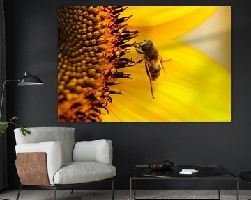 Bij op zonnebloem van Joyce Kelly Photography