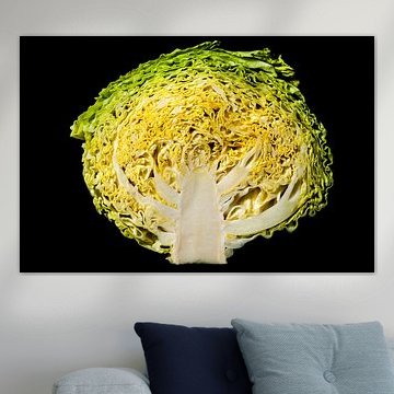 Kohl Querschnitt von Ricardo Hernandez