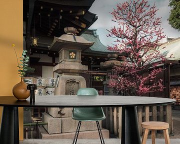 Kersenbloesem & traditie: Japanse tempel in de lente
