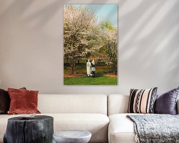 Blühende Idylle: Sakura-Romantik unter Kirschbäumen