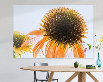 Zonnehoed in ijs 1 van Marc Heiligenstein