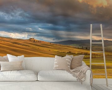 The Golden Light by Marc Smits