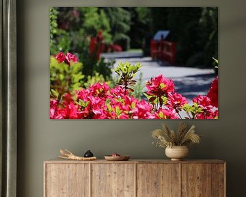 blumen in japan