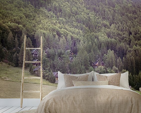 Aperçu de la chambre