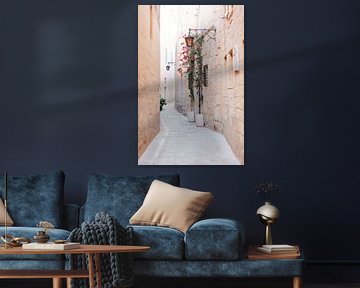Romantische Gasse in Malta von deplaatvankaat