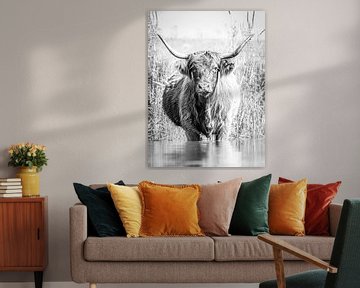 Schotse Hooglander in de Biesbosch van Judith Borremans Natuurfotografie