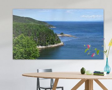 View of the east coast of the Saint Laurent River by Claude Laprise