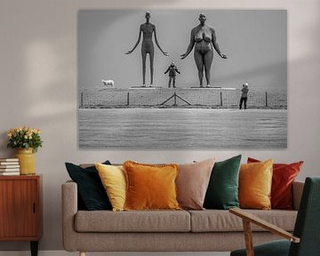 Kunst in Friesland van Erwin Schenk