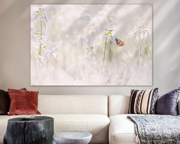 Vlinder op pinksterbloem in pasteltinten van Judith Borremans Natuurfotografie