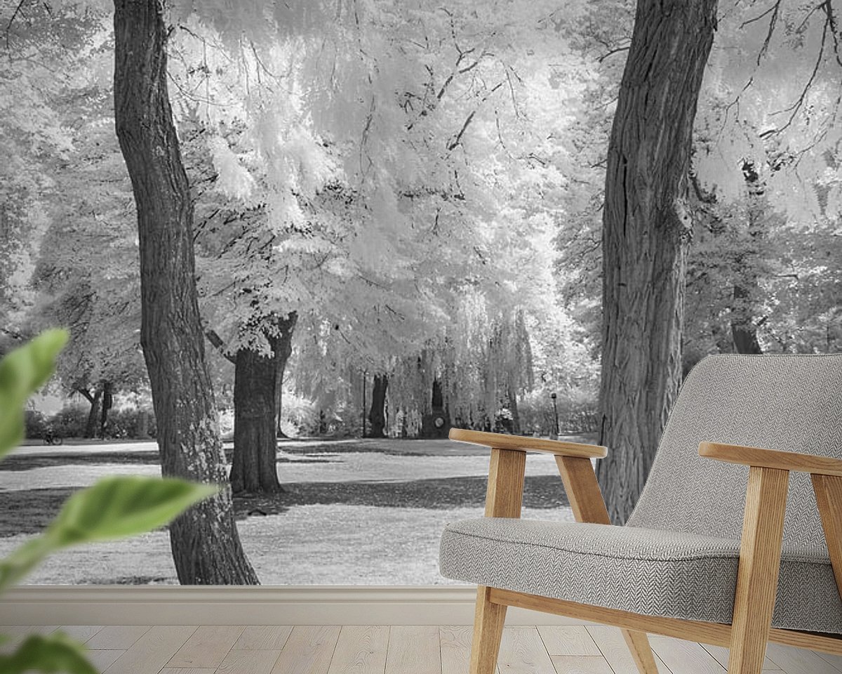 Raumvorschau