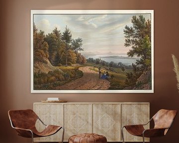 Uitzicht op het eiland Reichenau in het Bodenmeer, Johann Ludwig Bleuler