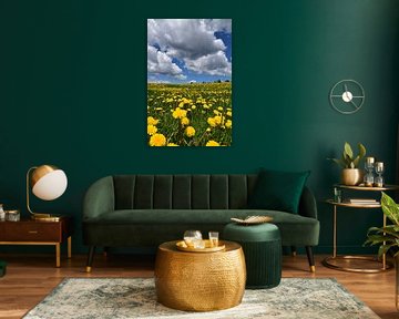 A field of dandelions in spring by Claude Laprise
