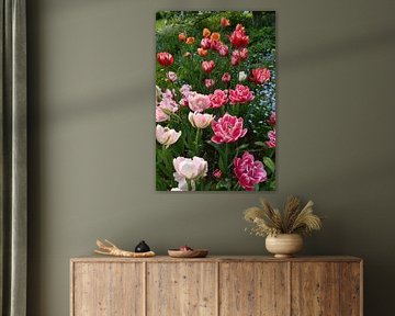 Tulips in the garden in spring by Claude Laprise