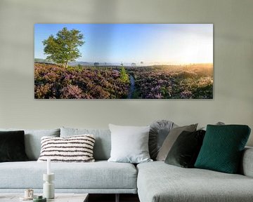 Sonnenaufgang über einer Heidelandschaft von Sjoerd van der Wal Fotografie
