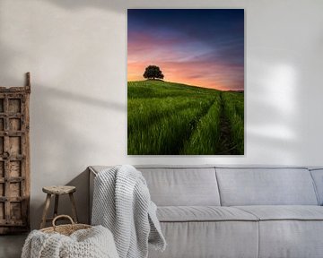 Eenzame steeneik tegen vurige Toscaanse zonsondergang in Siena Countrysi van Stefano Orazzini
