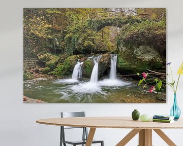 Dancing water and falling leaves by Albert Kuiper