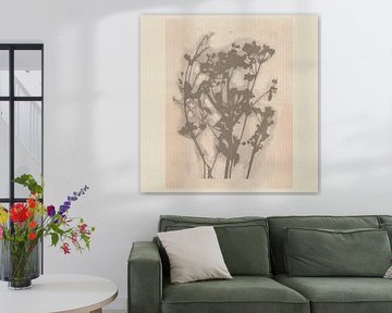 Botanical  with delicate wildflowers in soft neutral colors by Dina Dankers