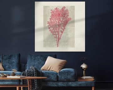 Vintage style botanical art in red on warm grey by Dina Dankers