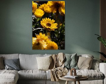 Not unique by being, but unique by becoming.