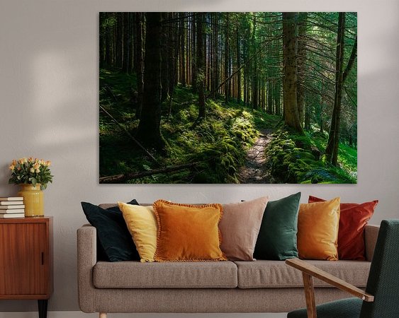 Aperçu de la chambre