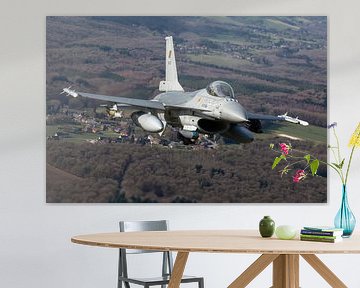 Gros plan sur le F-16AM belge en vol sur ross_impress