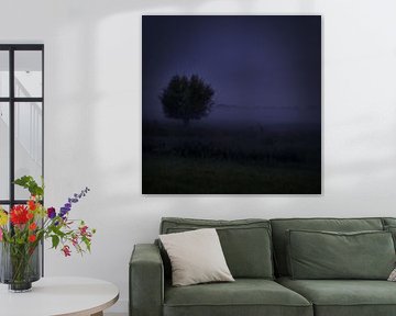 arbre solitaire dans le brouillard sur Jan Fotografie