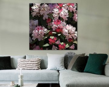 Azalea also called rhododendrons .