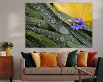 The garden after a cold rain by Claude Laprise