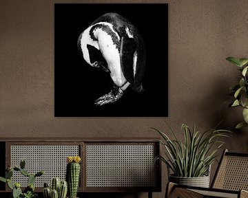 Penguin portrait in black and white - square by Heleen van de Ven