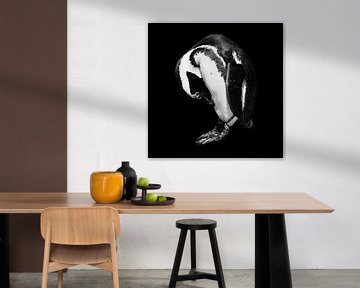 Pinguin portret in zwart wit - vierkant von Heleen van de Ven