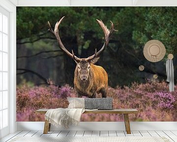 Big game by Sander Meertins