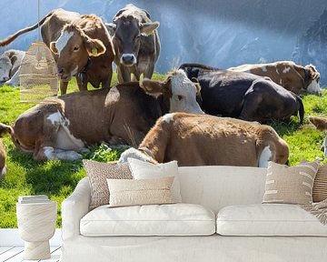 Allgäuer koeien op zomervakantie van Walter G. Allgöwer