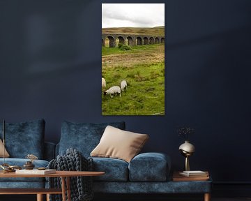 Sheep in front of a train bridge in the middle of Wales England's countryside by Aron.jpg
