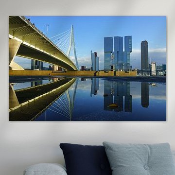 Erasmusbrug in Rotterdam van Michel van Kooten