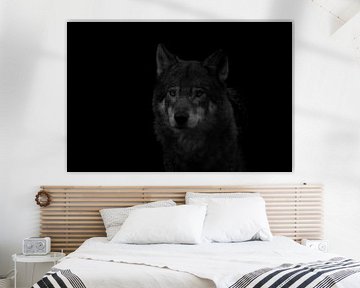 Wolf Portrait Schwarz & Weiß