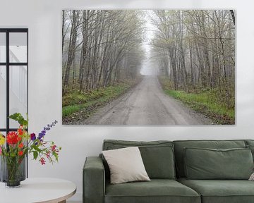 A country road in spring by Claude Laprise