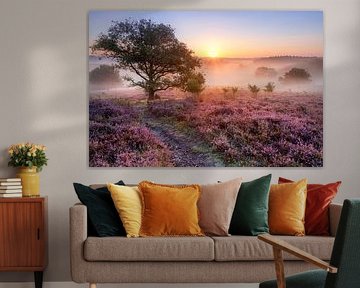 Heide und Nebel von Dennisart Fotografie