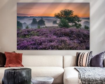 Posbank en violet sur Dennisart Fotografie