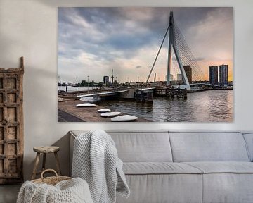 Erasmus Bridge, Rotterdam by Lorena Cirstea