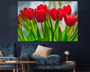 Frisch gefärbter Strauß roter Tulpen in einer Reihe von Jolanda de Jong-Jansen