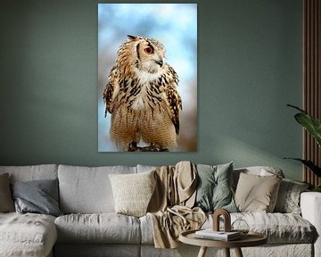 Eagle owl sitting