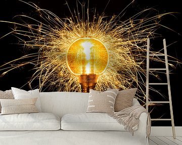 Exploding light bulb against a black background by Peter van Dam