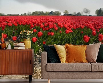 Dutch' proud by Beeldspraak