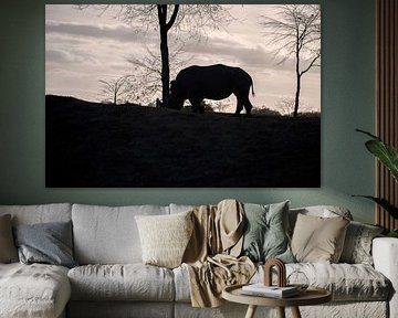Schaduw van de Neushoorn van Beeldspraak