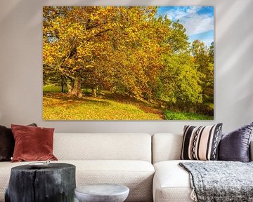 Landschaft im Herbst in der Feldberger Seenlandschaft